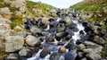 Snow melt flowing water down a Mountain