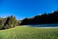 global warming melts the snow and emerges the lawn with green woods Royalty Free Stock Photo