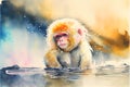 Snow monkey in water