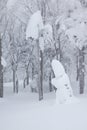 Snow monster in winter Royalty Free Stock Photo
