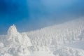 Snow monster at zao mountain Royalty Free Stock Photo