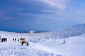 Snow Monsters of Mt.Zao in Yamagata, Japan Royalty Free Stock Photo