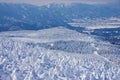 Snow Monsters of Mt.Zao in Yamagata, Japan Royalty Free Stock Photo