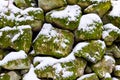 Snow and moss covered rocks Royalty Free Stock Photo