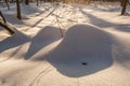 Snow mounds. Erotic snow dunes in the Ukrainian snowy woods evening with soft warm light of sunset Klevan Ukraine. Royalty Free Stock Photo