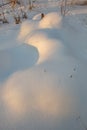 Snow mounds. Erotic snow dunes in the Ukrainian snowy woods evening with soft warm light of sunset Klevan Ukraine. Royalty Free Stock Photo