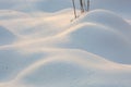 Snow mounds. Erotic snow dunes in the Ukrainian snowy woods evening with soft warm light of sunset Klevan Ukraine. Royalty Free Stock Photo