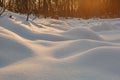 Snow mounds. Erotic snow dunes in the Ukrainian snowy woods evening with soft warm light of sunset Klevan Ukraine. Royalty Free Stock Photo