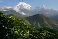 Snow mountain Annapurna nepal