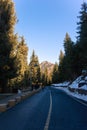 Snow-Mountain-Forest-Stamp-National Park of China-Xinjiang, China