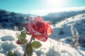 Snow mountain frozen rose. Generate Ai