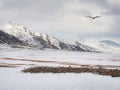 Snow mountain in Mongolia. Scenic landscape with snowy mountain top. Wonderful view from stony snowy mountain to mountain range Royalty Free Stock Photo