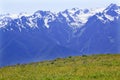 Snow Mountains Hurricane Ridge Olympic Park Royalty Free Stock Photo