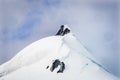 Snow Mountains Peak Blue Glacier Dorian Bay Antarctica