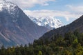 Snow mountains and pine forest landscape in Manaslu circuit trekking route, Himalaya mountains range in Nepal Royalty Free Stock Photo