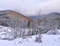 Snow, mountains, ridges and bare trees. Winter landscape Royalty Free Stock Photo