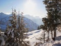 snow on the mountains with trees Royalty Free Stock Photo