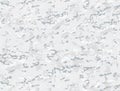 Snow multicam camouflage seamless pattern