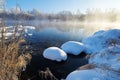 The snow mushrooms