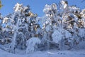 Snow in navacerrada madrid spain,