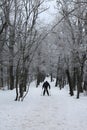 Snow in Normafa,Budapest,Hungary Royalty Free Stock Photo