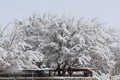 Snow over new mexico Royalty Free Stock Photo