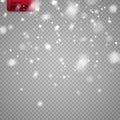 Snow overlay on transparent background. Vector falling snowflakes isolated.