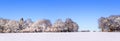 Snow panoramic landscape Royalty Free Stock Photo
