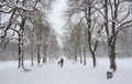 Snow in the Park in Sofia, Bulgaria Dec 29, 2014 Royalty Free Stock Photo