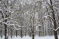 Snow in the Park in Sofia, Bulgaria Dec 29, 2014 Royalty Free Stock Photo