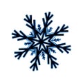 Snow flake