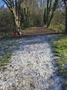 Snow patch, sunny patch, path, park, January 2026, Haverhill, Suffolk Royalty Free Stock Photo