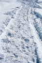 Snow path