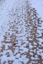 Pattern of snow on the ground in Bavaria Royalty Free Stock Photo