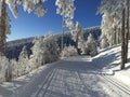 Snow Path for Cross-Country Skiing