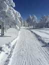 Snow Path for Cross-Country Skiing