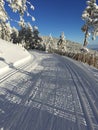 Snow Path for Cross-Country Skiing