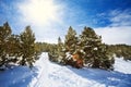 Snow path in snowy mountain forest