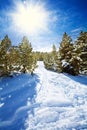 Snow path in snowy mountain forest Royalty Free Stock Photo