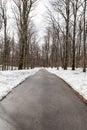 Snow pathway