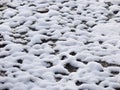 Snow patterns on asphalt