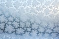 snow patterns formed on a window