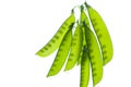 Snow pea Royalty Free Stock Photo