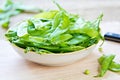 Snow pea Royalty Free Stock Photo