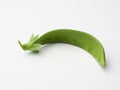 Snow pea pod Royalty Free Stock Photo