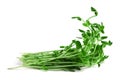 Snow Pea Sprouts Royalty Free Stock Photo