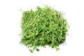 Snow Pea Sprouts Royalty Free Stock Photo