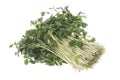 Snow Pea Sprouts Isolated Royalty Free Stock Photo
