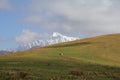 A snow peak with meadow in foreground Royalty Free Stock Photo