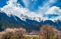 The early spring scenery of the Qinghai Tibet Plateau